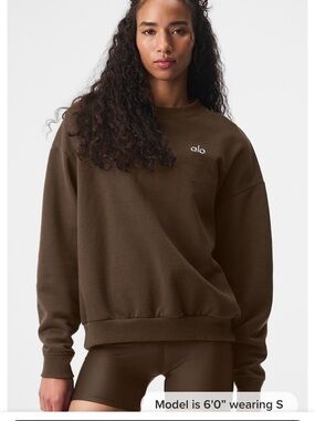 Alo Men's Crewneck Sweatshirt in espresso